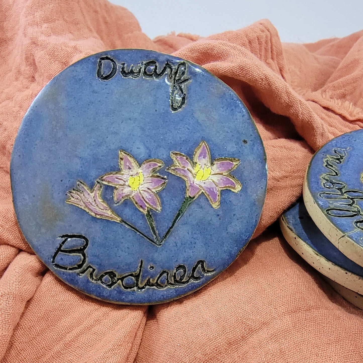 California Natives Coasters